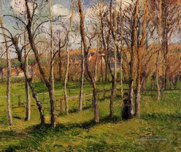Camille Pissarro Werke - Wiese bei bazincourt 1885 Camille Pissarro